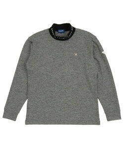 A[mhp[}[ StEFA Vc Y w{bNlbNSH AP220202E11 y2025NH~fz