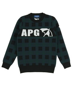 A[mhp[}[ StEFA Z[^[ fB[X rbOSWK[h`FbNZ[^[ AP220404E03 y2025NH~fz