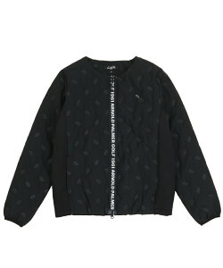 A[mhp[}[ StEFA u] fB[X BKȃV[XLgJK AP220406E02 y2025NH~fz