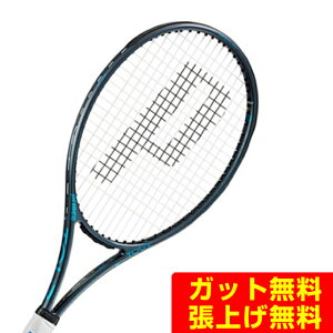 �v�����X PRINCE �d���e�j�X���P�b�g �c�A�[ 100 290g TOUR 100 290g 7TJ252