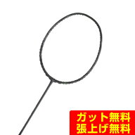 ゴーセン GOSEN バドミントンラケット コキュートス ブレード BRCYBL