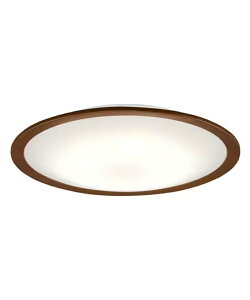 �A�C���X�I�[���} IRIS OHYAMA �Ɩ� LED�V�[�����O���C�g 8���������F CEA8DL-5.0Q �y���[�J�[�����z�y������z������z�d
