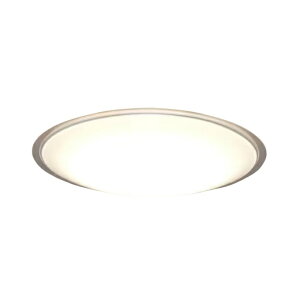 �A�C���X�I�[���} IRIS OHYAMA �Ɩ� LED�V�[�����O���C�g 12������ �N���A�t���[�� CEA12D-5.0QCF �y���[�J�[�����z �y������z������z�d