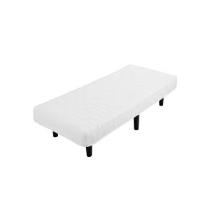 ACXI[} IRIS OHYAMA Q rt|PbgRC}bgX Z~VO PAM-SS1 y[J[zyzzd