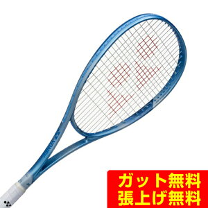 ���l�b�N�X �\�t�g�e�j�X���P�b�g �O�q���� �{���g���C�W5V 02VR5V-653 YONEX