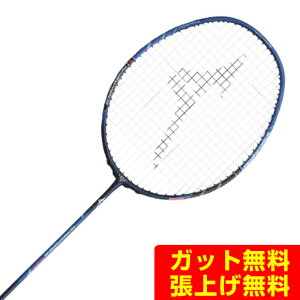 �~�Y�m MIZUNO �o�h�~���g�����P�b�g �A�N���t�H�[�X 800 ACROFORCE 800 73JTB60816