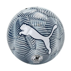 �v�[�}(PUMA) �T�b�J�[�{�[�� 3�� ���苅 �t�@�C�i�� �O���t�B�b�N �T�b�J�[�{�[�� HS 085213 02 3G