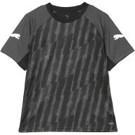 プーマ(PUMA) サッカーウェア プラクティスシャツ 半袖 メンズ Q1 IndivL S/S シャツ 660968 03