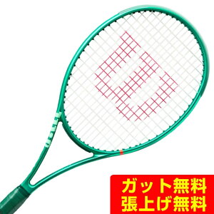 �E�C���\��(Wilson) �d���e�j�X���P�b�g �u���[�h98S V10 WR208011U �y�������K�i�z