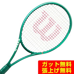 �E�C���\��(Wilson) �d���e�j�X���P�b�g �u���[�h100 V10 WR208211U �y�������K�i�z