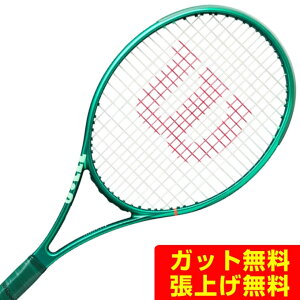 �E�C���\��(Wilson) �d���e�j�X���P�b�g �u���[�h104 V10 WR208511U �y�������K�i�z