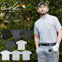 アーノルドパーマー arnold palmer ゴルフウェア 半袖シャツ メンズ プリントモックネック半袖シャツ AP220101F17 【2…