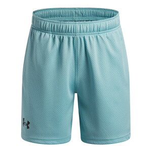 �A���_�[�A�[�}�[(UNDER ARMOUR) �V���[�g�p���c �W���j�A UA TECH MESH SHORTS 1387348-425