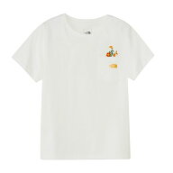 ザ・ノース・フェイス(THE NORTH FACE) Tシャツ 半袖 レディース ショートスリーブフラッシュドライフラ…