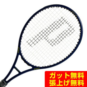 �v�����X PRINCE �d���e�j�X���P�b�g �t�@���g�� �O���t�@�C�g 100XS 300g�@PHANTOM GRAPHITE 100XS 300g 7TJ249