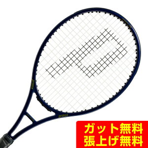 �v�����X PRINCE �d���e�j�X���P�b�g �t�@���g�� �O���t�@�C�g 100XS 285g�@PHANTOM GRAPHITE 100XS 285g 7TJ250