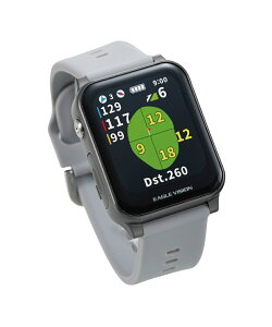 �C�[�O���r�W����(EAGLE VISION) �S���t GPS�i�r EAGLE VISION AX �A�N���X EV-539