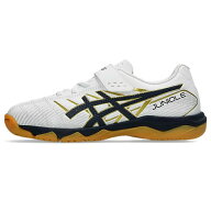 アシックス(asics) フットサルシューズ インドア ジュニア JUNIOLE 7 IN 1104A055-103