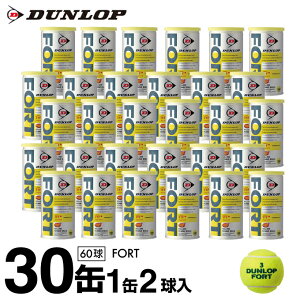 テニスボール ダンロップ フォートの人気商品 通販 価格比較 価格 Com