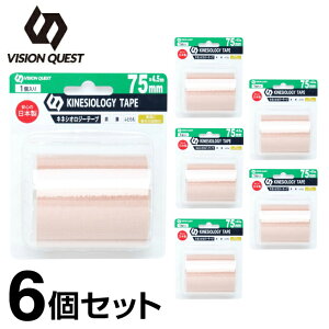 e[sO Lk LlVIW[e[v75mm 4.5m×6 v27m VQ580201H11 rWNGXg VISION QUEST