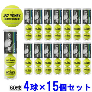 lbNX dejX{[ 15 Zbg `sIVbv 4 TB-CHS4P YONEX