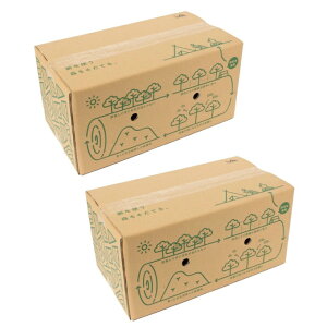 �r�W�����s�[�N�X VISIONPEAKS ������ CEDER FIREWOOD �V�_ �t�@�C�A�E�b�h ���̐d 2���Z�b�g VP160506L02