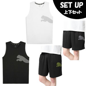 v[} X|[cEFA m[X[u Y TRAIN ALL DAY BIG CAT ^N+TRA ALLDAYrbOSV[c7 525516+524583 PUMA