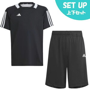 AfB_X TVc ㉺Zbg WjA Z[m AEROREADY W[W[ LbY+Z[m V[c LbY IS0329 KNX36+IN0648 KNX37 adidas