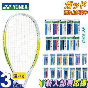 lbNX ejX V X^[^[3_Zbg ejXPbg+GbWK[h+Obve[v グς GACh ARDG-500 YONEX