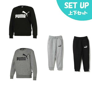 v[}(PUMA) XEFbgEFA㉺Zbg WjA J ESS N rbOS N[+ESS X pc 846542+672609
