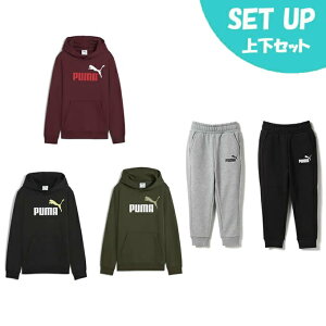 プーマ(PUMA) スウェットウェア上下セット ジュニア J ESS 裏起毛 NO.1 フーディ+ESS スリム パンツ 691243+672609