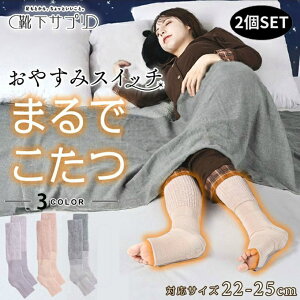 CTv \bNX fB[X ܂ł ₷݃XCb` 22~25cm 2Zbg 438994