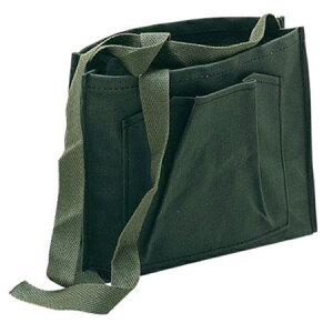 Cg LITE St eiXpi ړyӂ p M81