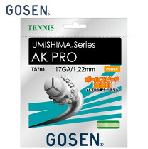 楽天市場】ゴーセン akproの通販