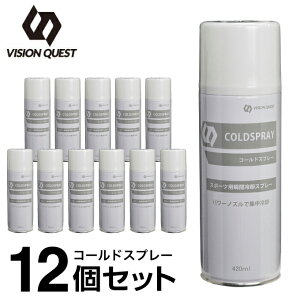 ySiΏۍő10OFFN[| 2025/11/30 0:00`12/11 1:59zy12{Zbgz R[hXv[ 420ml pXv[ VQ580205G01 rWNGXg VISION QUEST ACVO yZbgłz