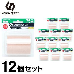 e[sO Lk LlVIW[e[v75mm 4.5m×12 v54m@VQ580201H11 rWNGXg VISION QUEST