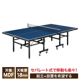【1年保証】 卓球台 国際規格サイズ セパレート式18mm 組立有 VQ530509I01 ビジョンクエスト VISION QUEST 【店頭受取・代引発送不可商品】