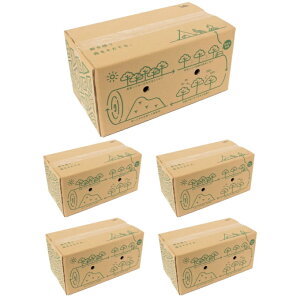 �r�W�����s�[�N�X VISIONPEAKS ������ CEDER FIREWOOD �V�_ �t�@�C�A�E�b�h ���̐d 5���Z�b�g VP160506L02