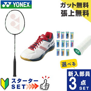 lbNX oh~g V X^[^[3_Zbg Pbg+Kbg+Obve[v+V[Y AXgNX11 AX11-530 YONEX