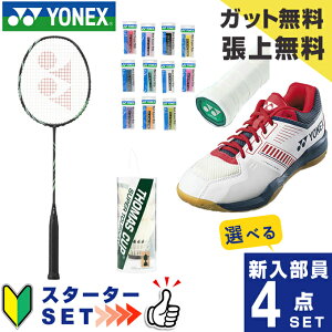 lbNX oh~g V X^[^[4_Zbg Pbg+Kbg+Obve[v+Vg+V[Y AXgNX11 AX11-530 YONEX