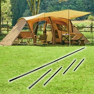 �r�W�����s�[�N�X VISIONPEAKS �e���g �|�[�� 2�_�Z�b�g �g���X�A�[�`2���[���e���g�{RF+REVO�|�[��240 2�{�g VP160101B01+682005