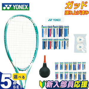 lbNX ejX V X^[^[5_Zbg Pbg+e[v1+e[v2+{[+|v グς GACh ARDOG-379 YONEX