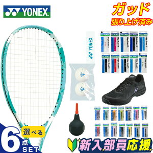 lbNX ejX V X^[^[6_Zbg Pbg+e[v+Obv+{[+V[Y+{[ GACh ARDOG-379 YONEX