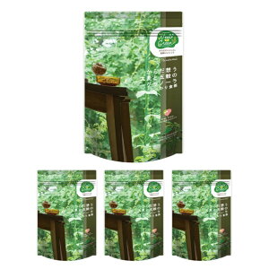 H 炾z 唞ƌ܍̃Om[ H 4܃Zbg TO0122 {Hi yzzd ܓ 4 Mtg v[g 