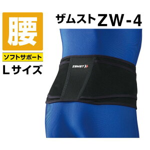 UXg T|[^[ ZW-4 LTCY 383403 ZAMST