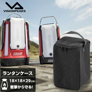 ^ANZT[ ^L[P[X VP160909H01rWs[NX VISIONPEAKS ^P[X