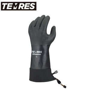 eX hO[u h O[u h h TEMRES 02winter SHOWA V[ Sh