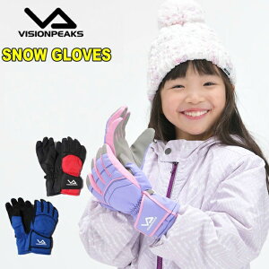 XL[ Xm[{[h O[u LbY WjA q 130`160cm Xm[O[u EB^[O[u JR GLOVE VP131701K03 V rWs[NX VISIONPEAKS
