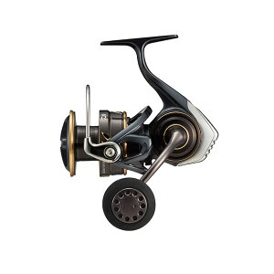 �_�C��(DAIWA) 22CALDIA �J���f�B�ASW 5000D�|CXH �X�s�j���O���[�� �d