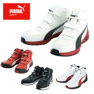 v[} SC Z[teBV[Y WpAX`bN AX`bNC_[2.0 ~bh vXj[J[ ƌC Y   63-1 PUMA d od